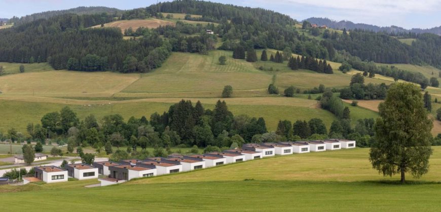 Luxury Chalet development in Styria